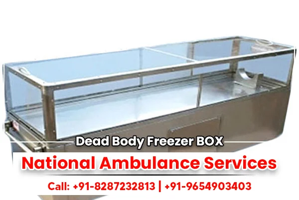 Dead Body Freezer Box